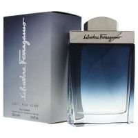 Salvatore Ferragamo Subtil (for Men) 100 ml